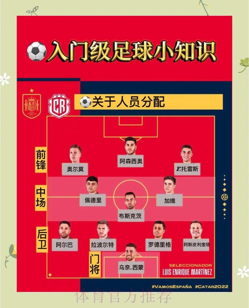 世界杯投注热点深度解析指南